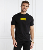 Футболка Calvin Klein - черный(K10K112403)