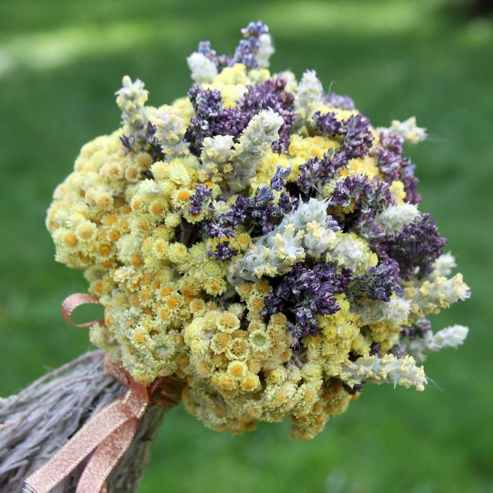 Букет сухоцветов 26х20 см - Краски лета Букет сухоцветов 26х20 см - Краски лета