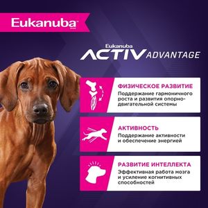 Сухой корм Eukanuba Puppy Large Breed ˂12 Months для щенков крупных и очень крупных пород с птицей