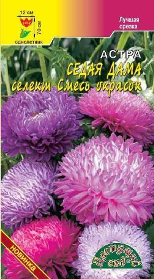 Астра Седая дама селект смесь окрасок