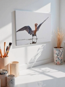 Картина на стену 40 X 50 Птица