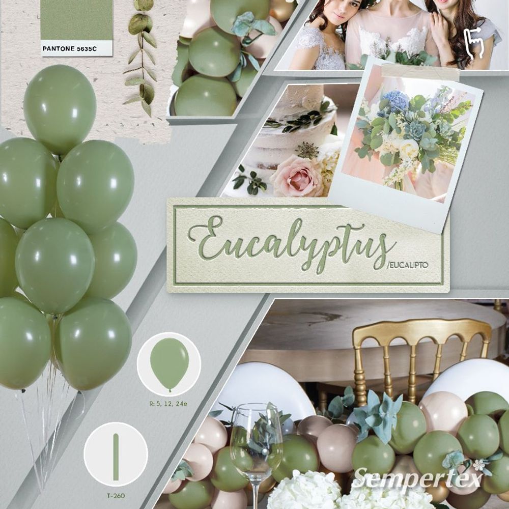 Шар (24"/61 см) Эвкалипт (027), пастель 1 шт.