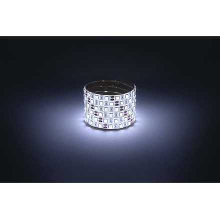 Светодиодная лента ЭРА LS5050-14,4-60-12-6500K-IP65-1 year-5m холодный белый 1 год