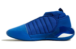 Кроссовки Adidas Harden Vol.7 7