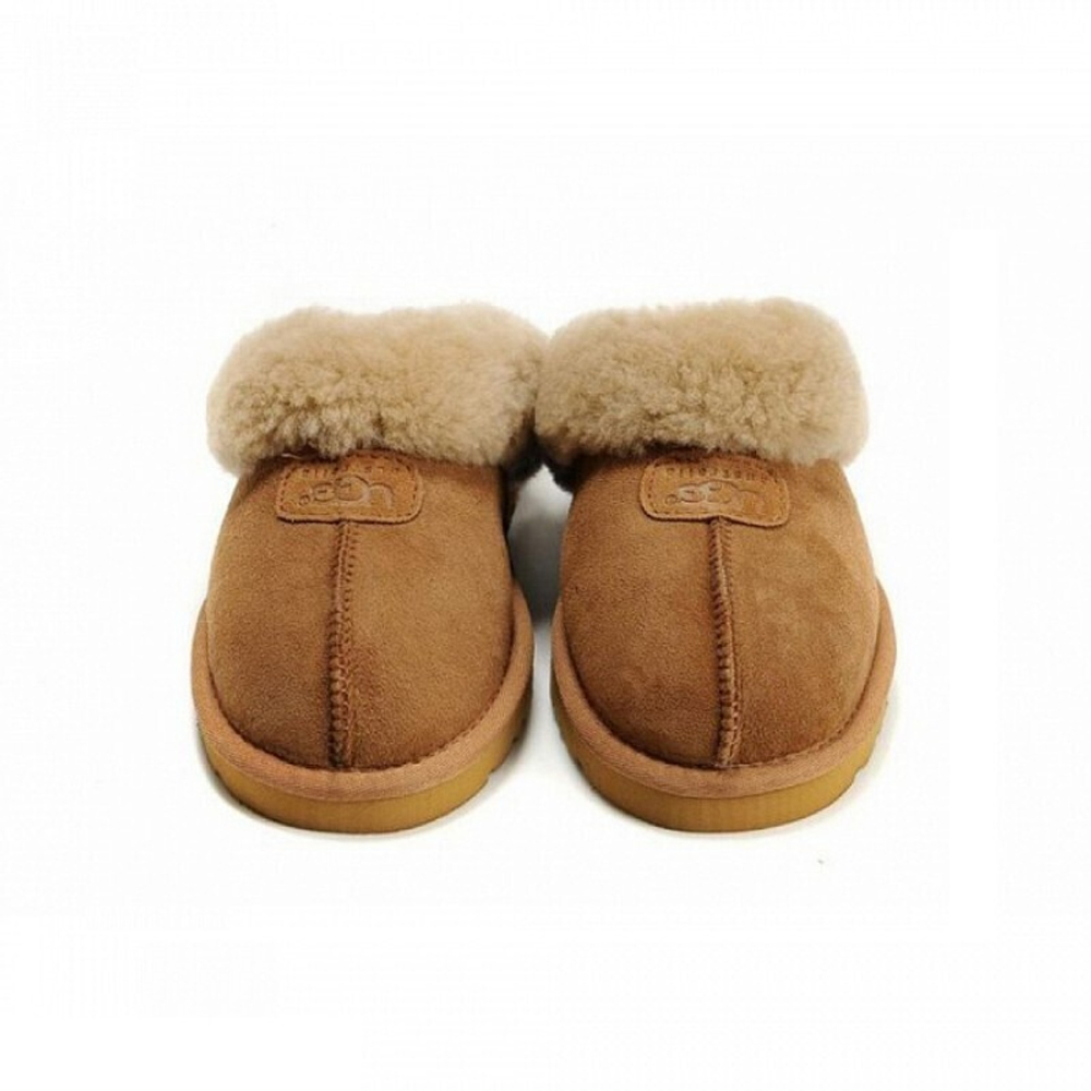 Мужские тапочки Coquette Slippers Chestnut