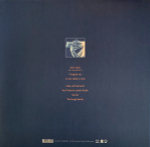 Tindersticks / Distractions (LP)