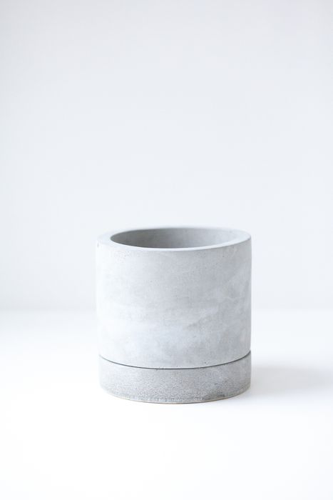 Купить Фиттонию за 1000 руб в интернет - магазине Krapiva