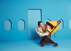 Детская прогулочная коляска Anex AIR-X Ax-04/L yellow