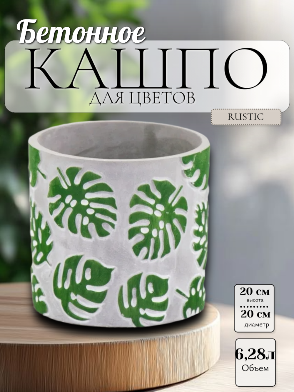 монстера1