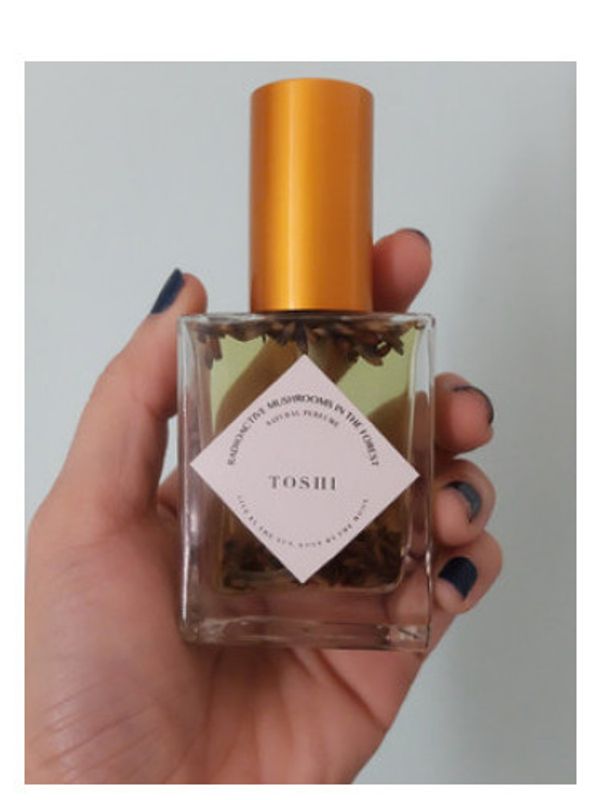 Radioactive Mushrooms in the Forest Toshi