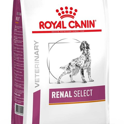 Royal Canin VET Renal Select - диета для собак с хронической болезнью почек