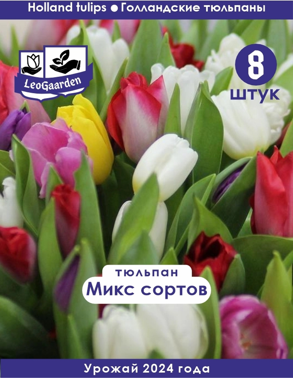 Тюльпан Луковица, Микс сортов, 8шт