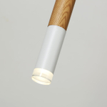 Подвесной светильник Favourite Pendenti 2014-1P