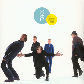 Einsturzende Neubauten / Alles In Allem (LP)