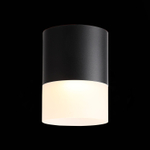 ST100.402.15 Светильник потолочный Черный LED 1*15W 3000K 1 170Lm Ra&gt;80 120° D118xH150 170-240VV Накладные светильники