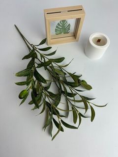 Олива