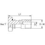 Болт BANJO BSP 1/4