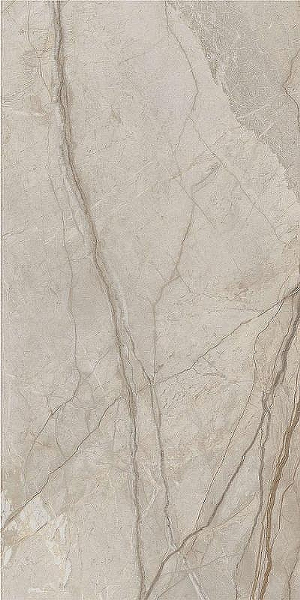 Керамогранит Italon Stellaris Elegant Silver рет 610010002835 60х120 см