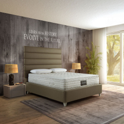 Матрас ортопедический 180x200x35 Magniflex Maestro Dual 14