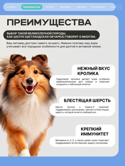 Корм сухой для собак породы Шелти (Шетландская овчарка), с кроликом, 12 кг, QUATTRO