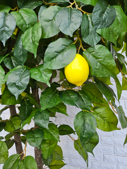 Дерево Лимон 280см в кашпо