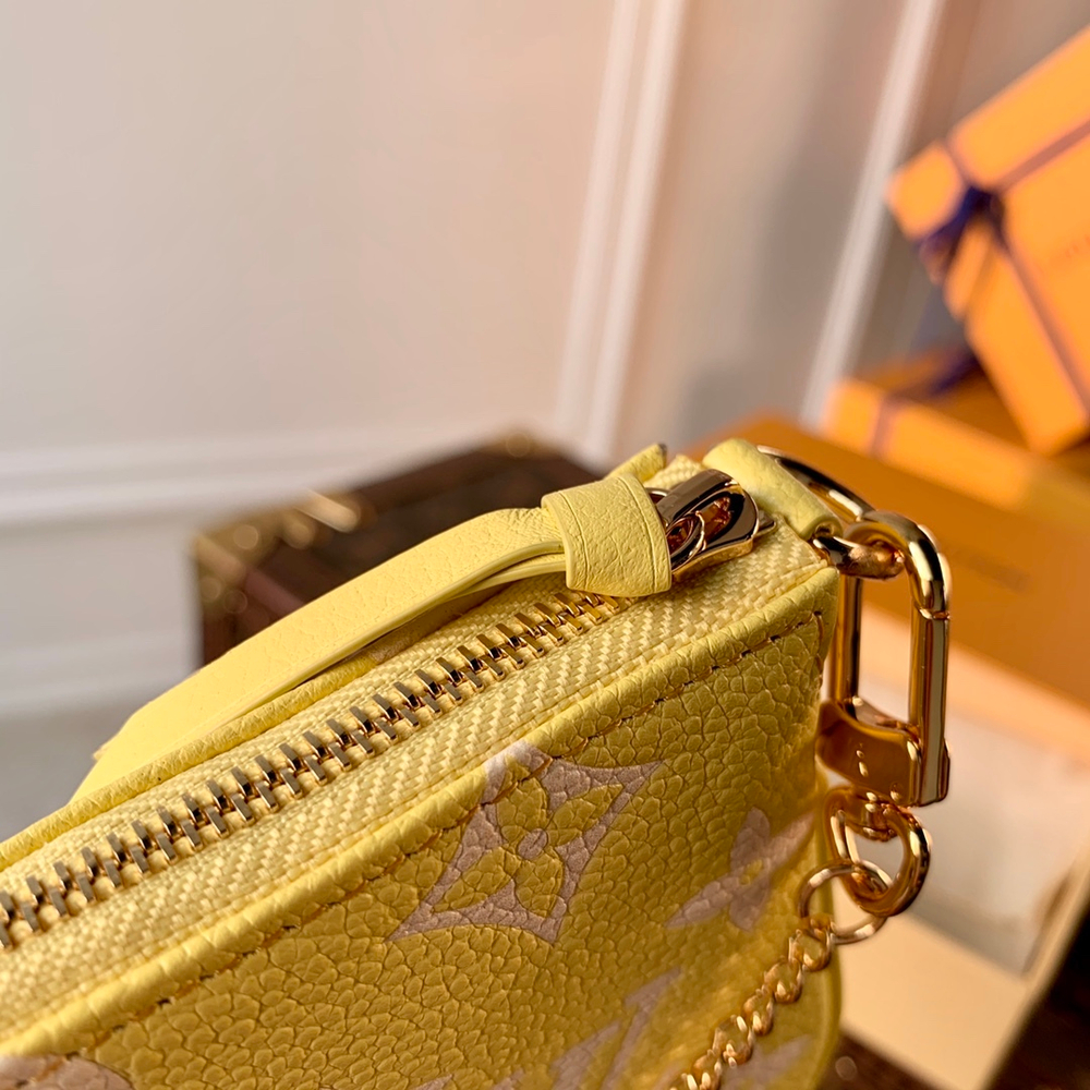 Louis Vuitton Mini Pochette Accessoires