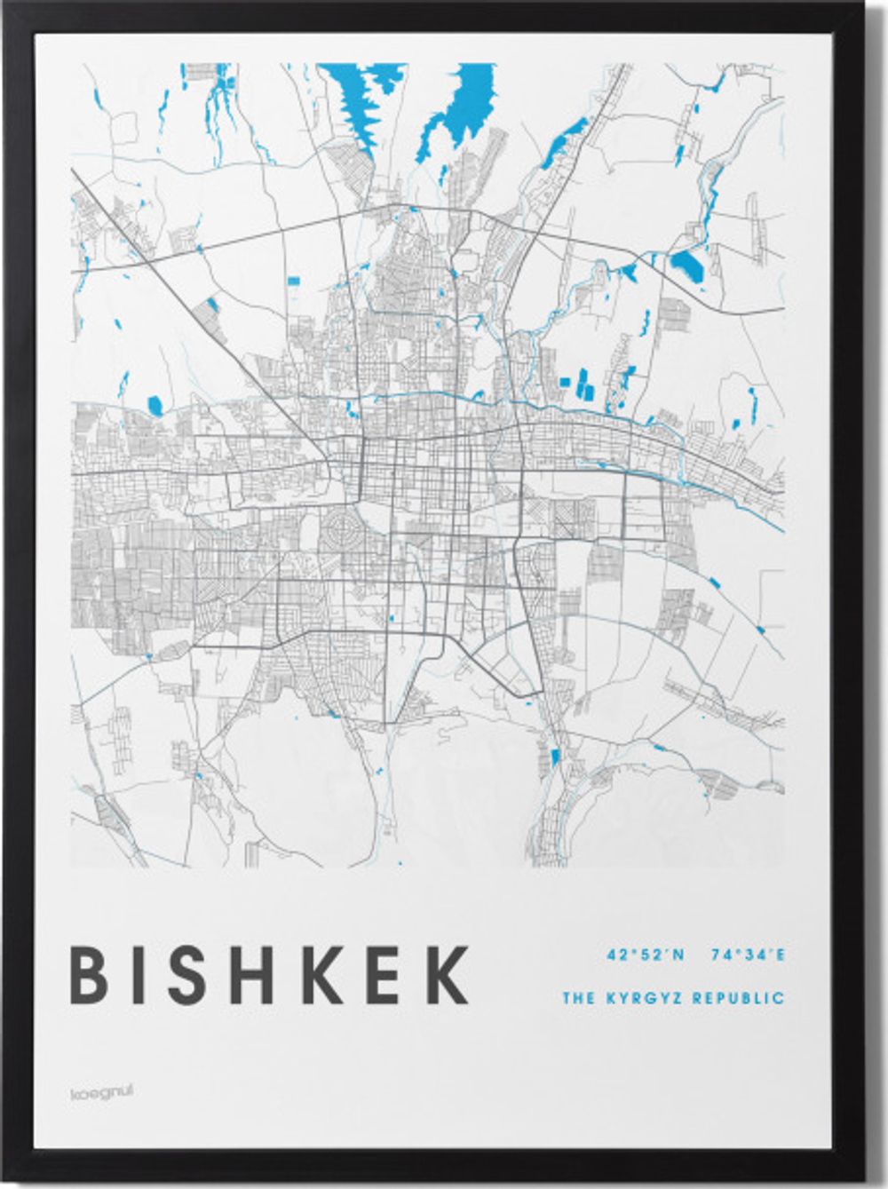 Постер Bishkek map (white)