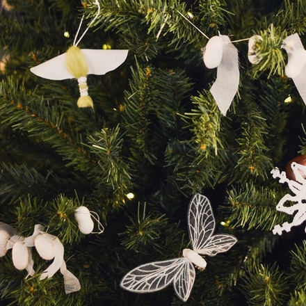 «Таинственные приключения» – программа для детей