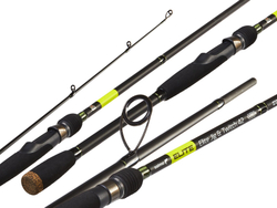 Спиннинг Salmo Elite JIG N'TWITCH 42 2.34