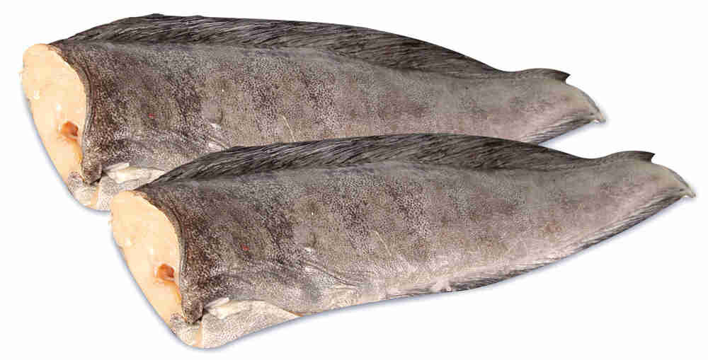 Зубатка пестрая с/м ПБГ "Мурман" 1/32кг