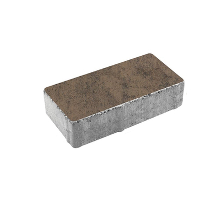 Тротуарная плитка ПРЯМОУГОЛЬНИК 200x100 мм - Листопад гладкий Шелковица