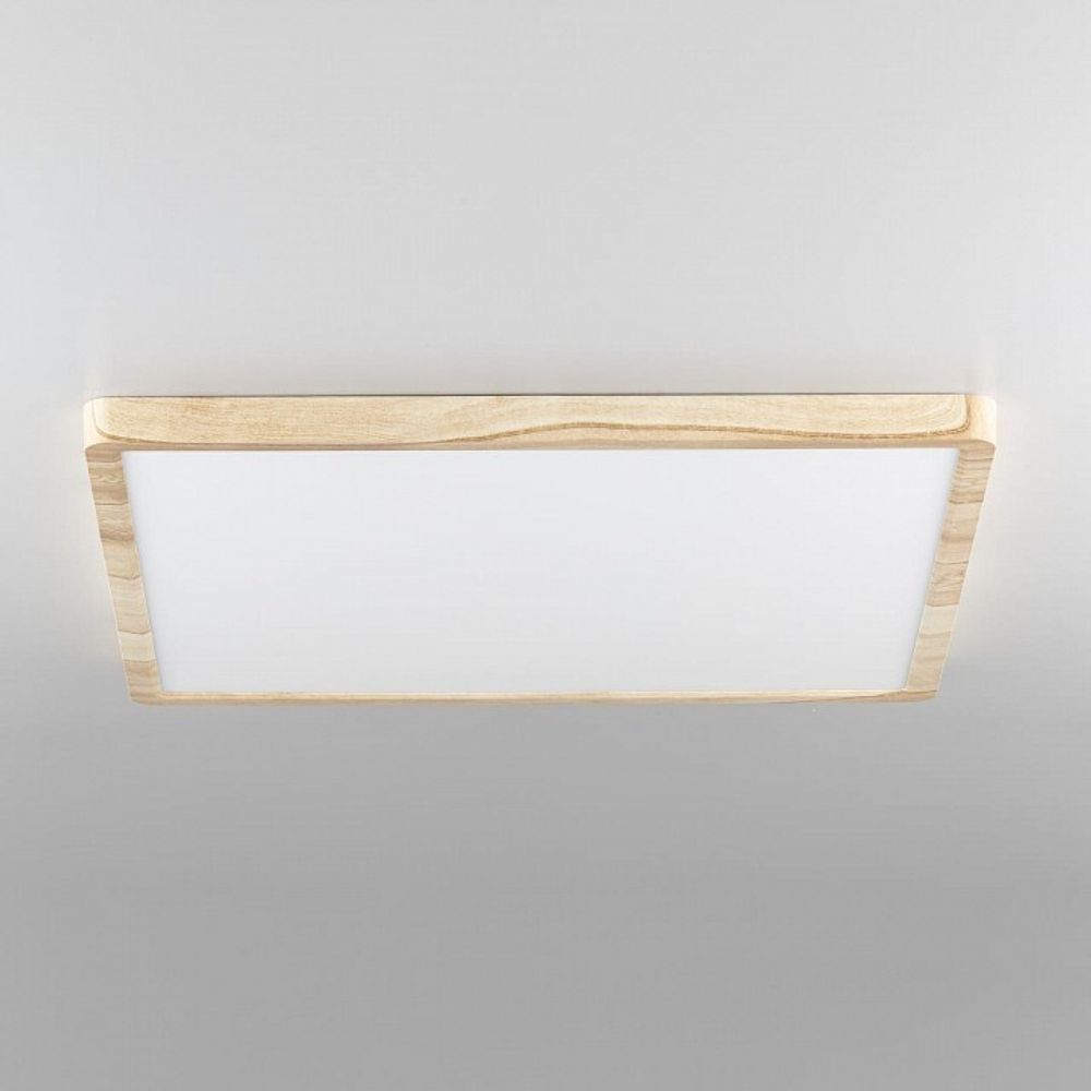 Накладной светильник Citilux Бейсик CL738K502V