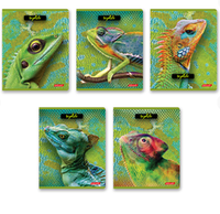 Тетради 60-80 листов