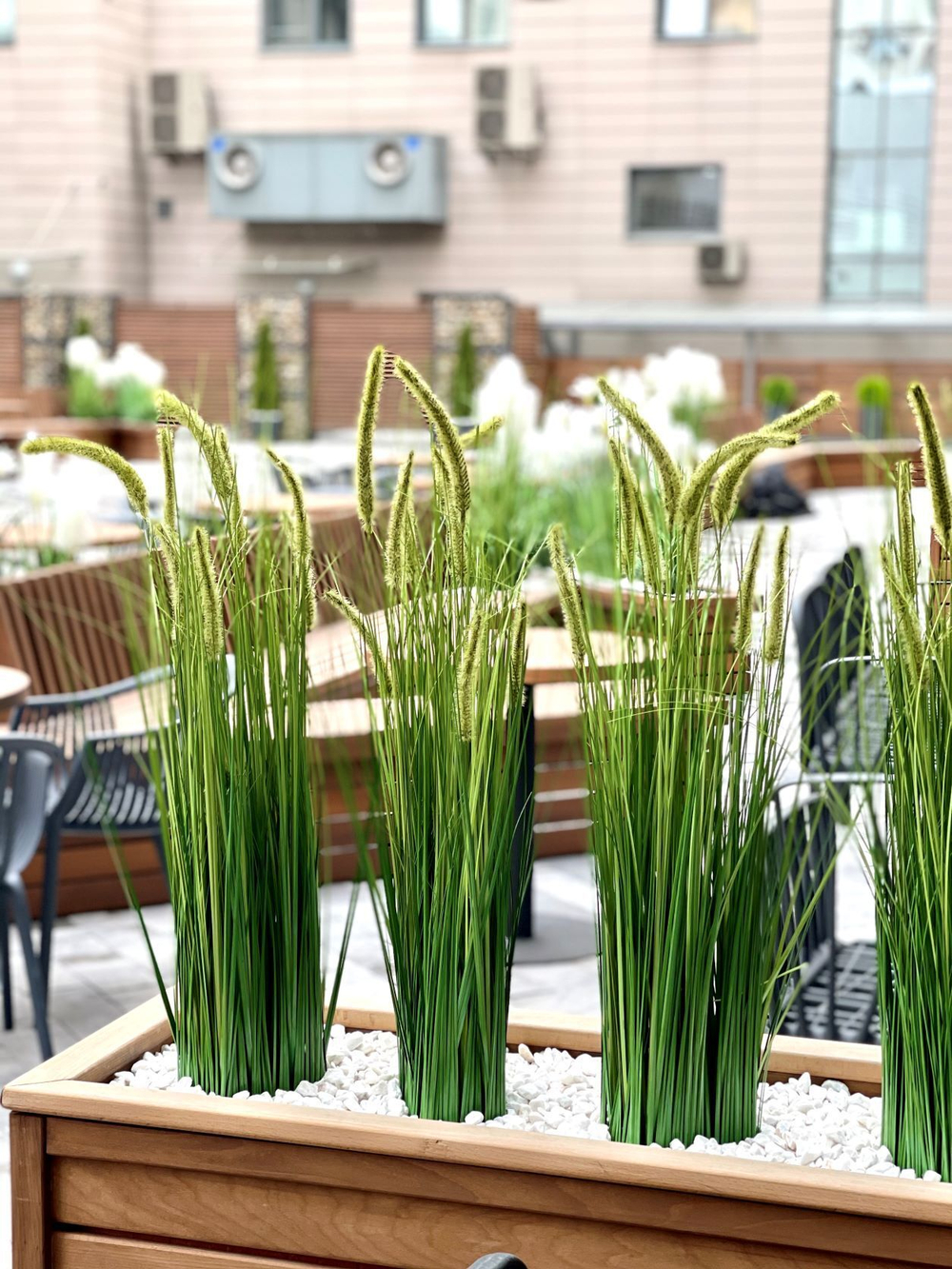 Озеленение искусственными осоками отеля "Hilton" г.Краснодар