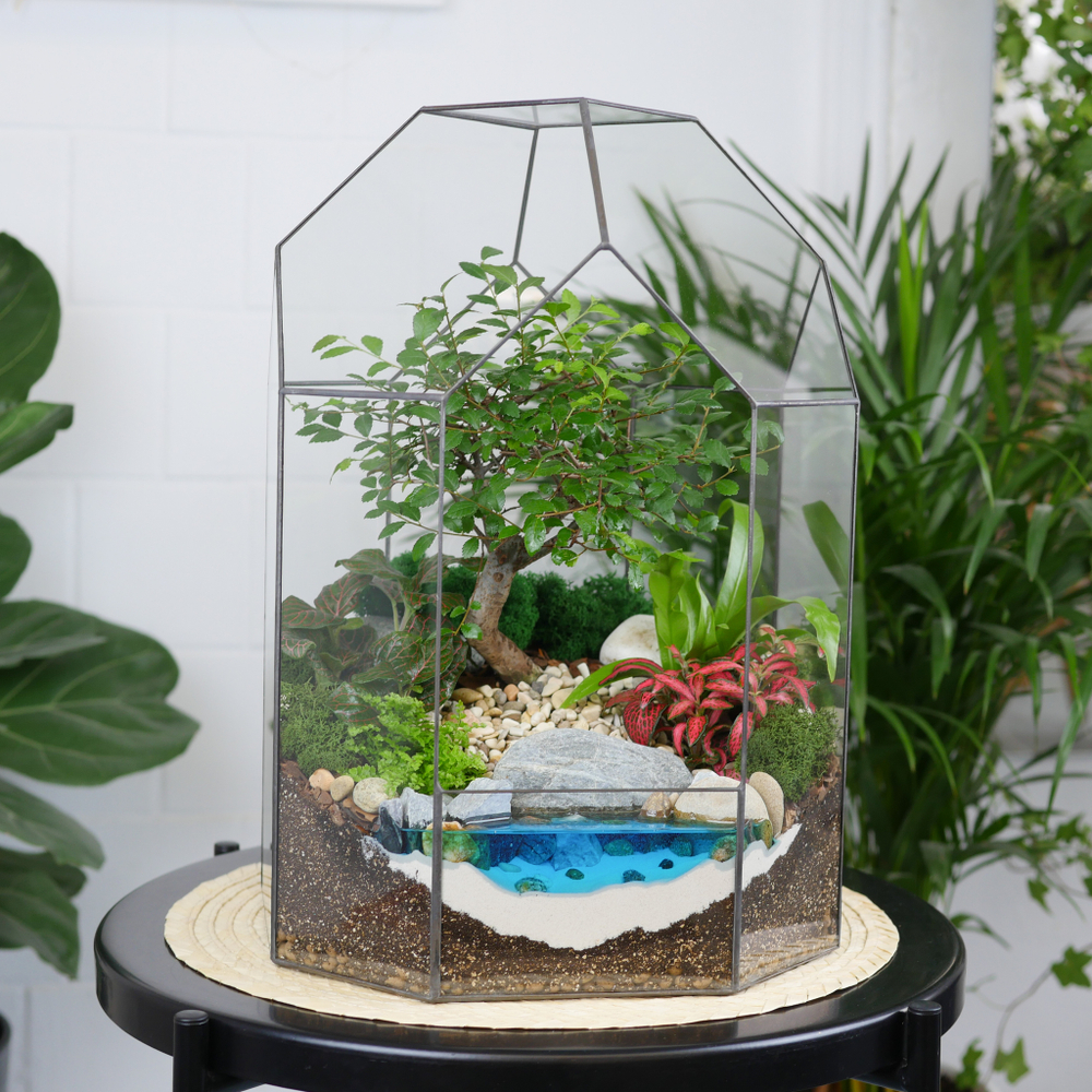 Готовый флорариум бонсай Японский вяз Бонсариум XL с озером