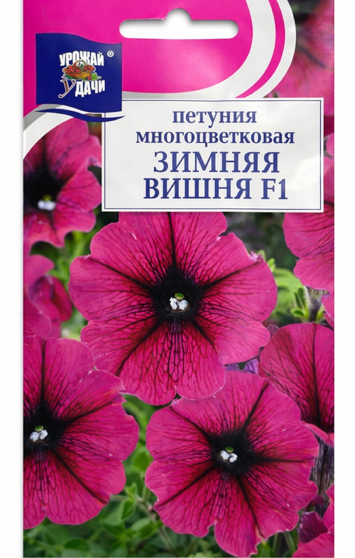 Петуния Зимняя вишня , 10шт., Урожай Удачи СМЦ-152