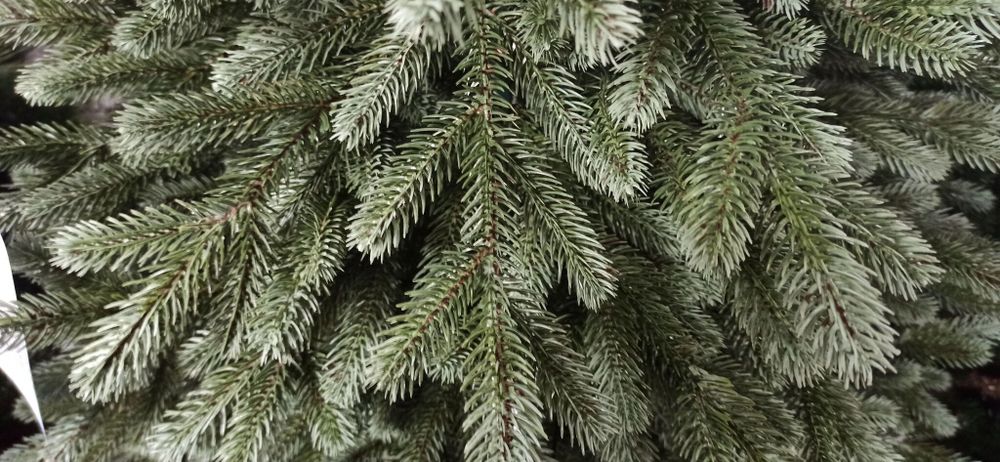 Ель искусственная «Архангельская» (Литая хвоя) от 1,2 м до 3 м