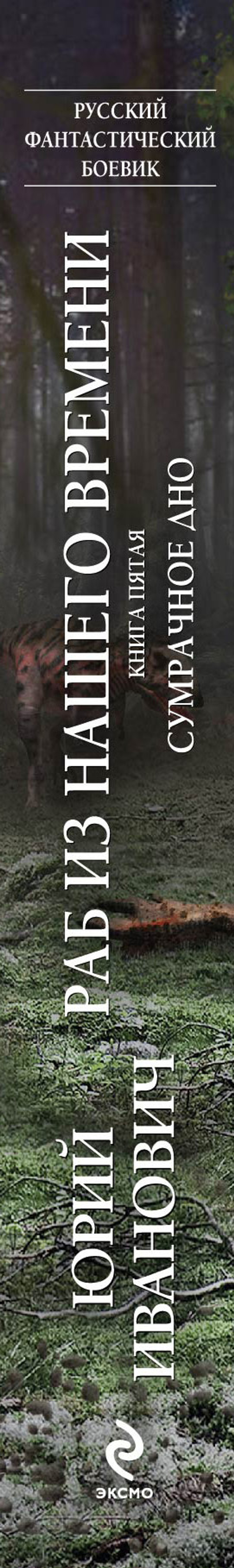 Раб из нашего времени. Книга 5. Сумрачное дно