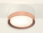Накладной светильник Ambrella Light XS XS8101006