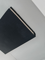 Бакунин и Маркс. Тень и свет