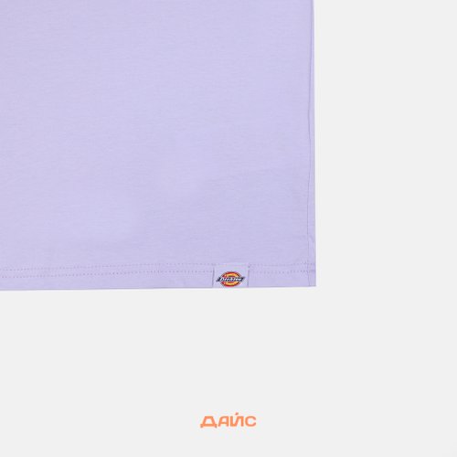 Футболка мужская Dickies Patrick Springs Tee артикул:DK0A4YR7H181 - купить в магазине Дайс