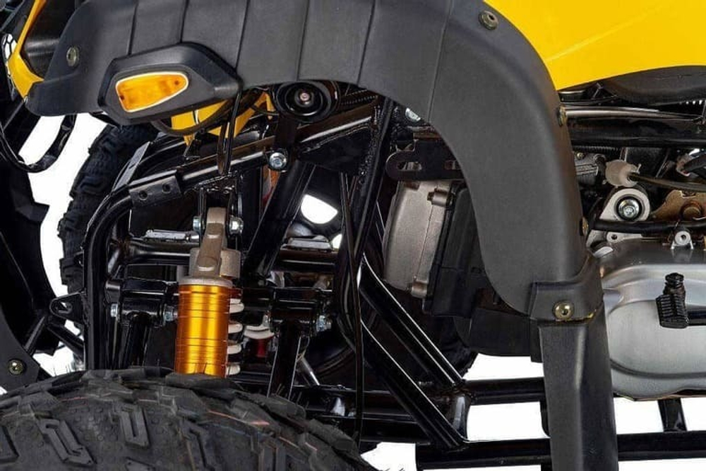 Квадроцикл RAPTOR Max Pro 250 (жёлтый/чёрный) (2024)