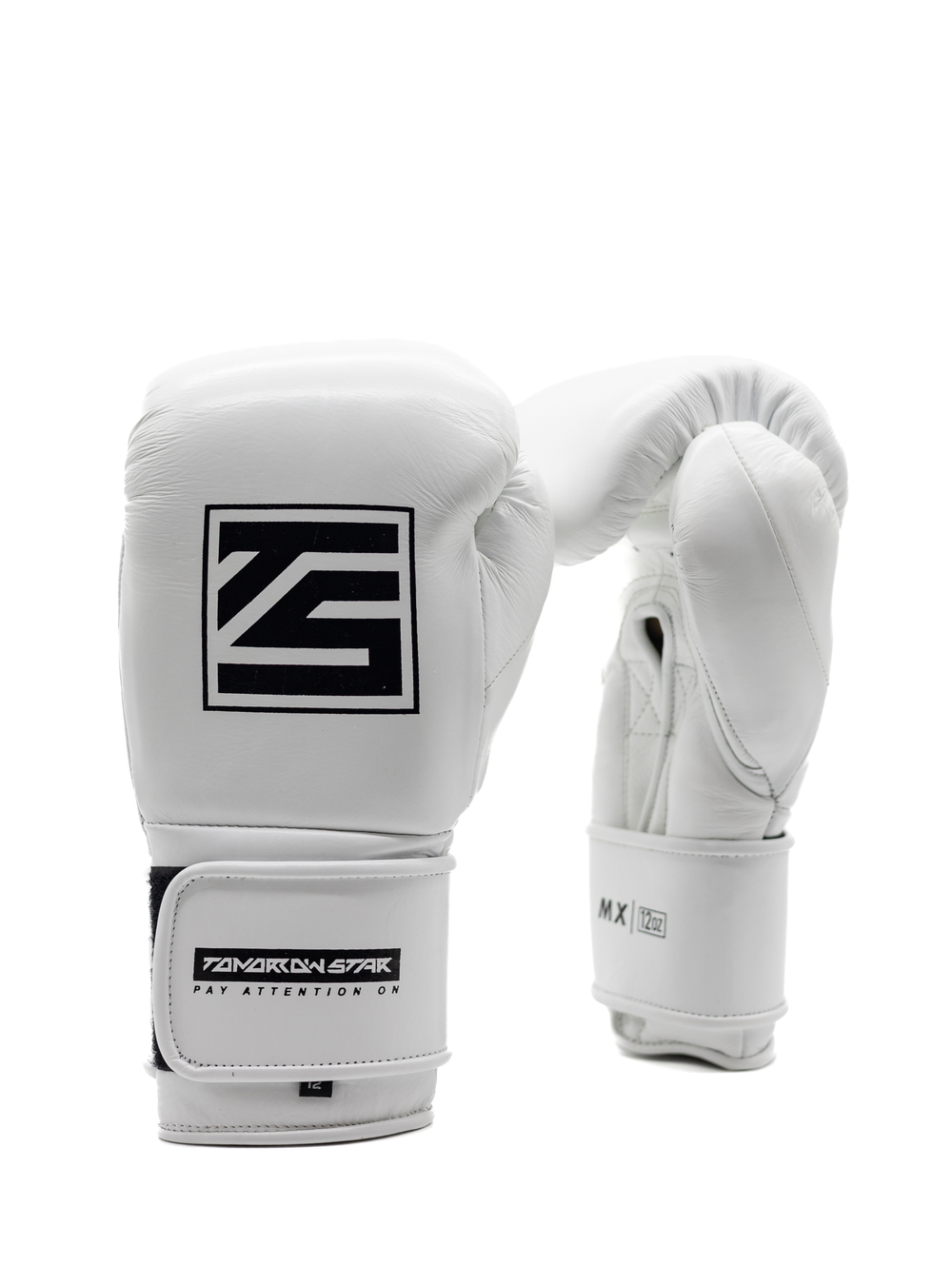 Перчатки для бокса Tomorrow Star MX белые