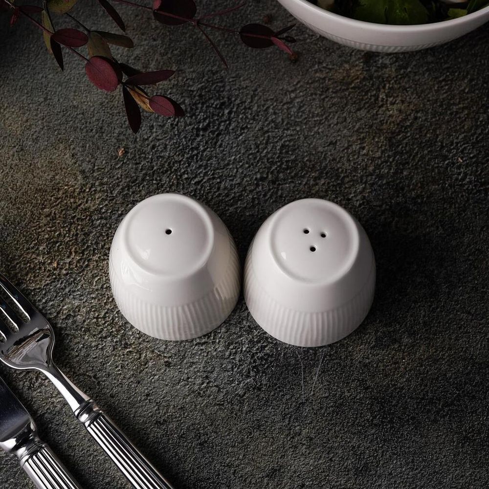 Набор для специй 2 предмета Солонка/Перечница d 5,8 см h5,7 см Neo Silk Noble [1]