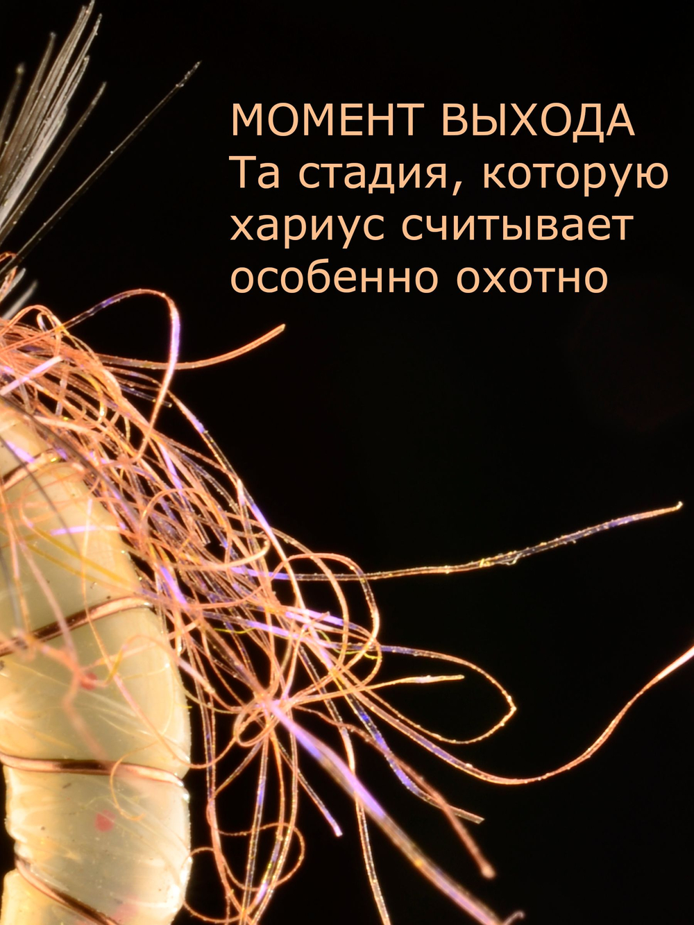 Скользкий тип Желтый Мандарин