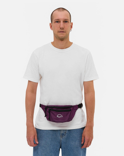 Поясная сумка Anteater Waistbag-RSt-Violet