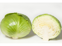 Предеко F1 семена капусты белокочанной (Takii / Таки)