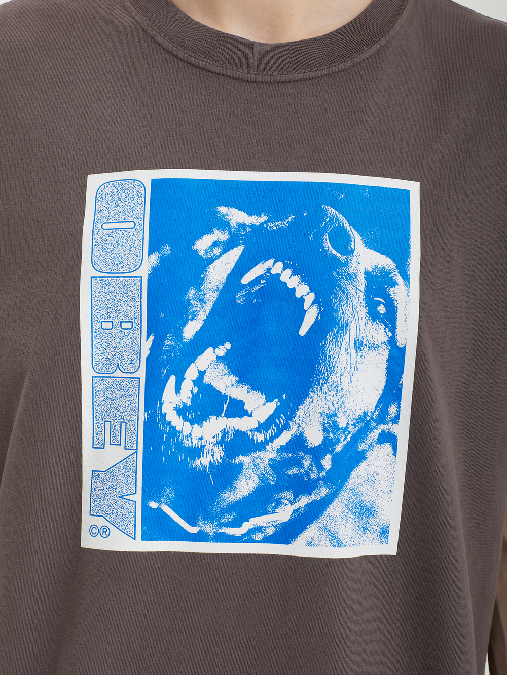 Футболка Кор. Рукав Obey Stay Back
