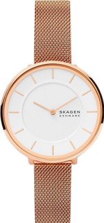 Женские наручные часы Skagen SKW3013