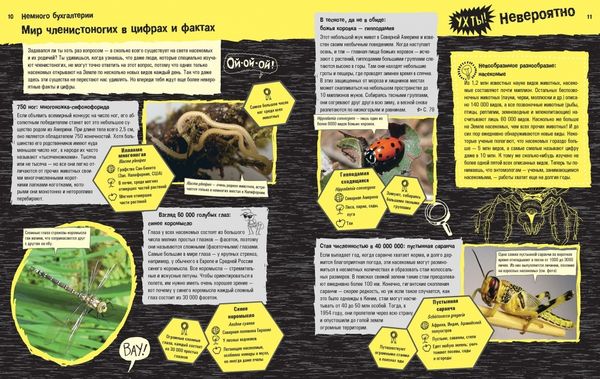 Прекрасные и опасные: насекомые, пауки, скорпионы и прочие